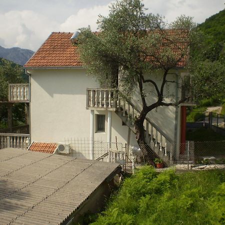 Apartman Irena Tivat Zewnętrze zdjęcie