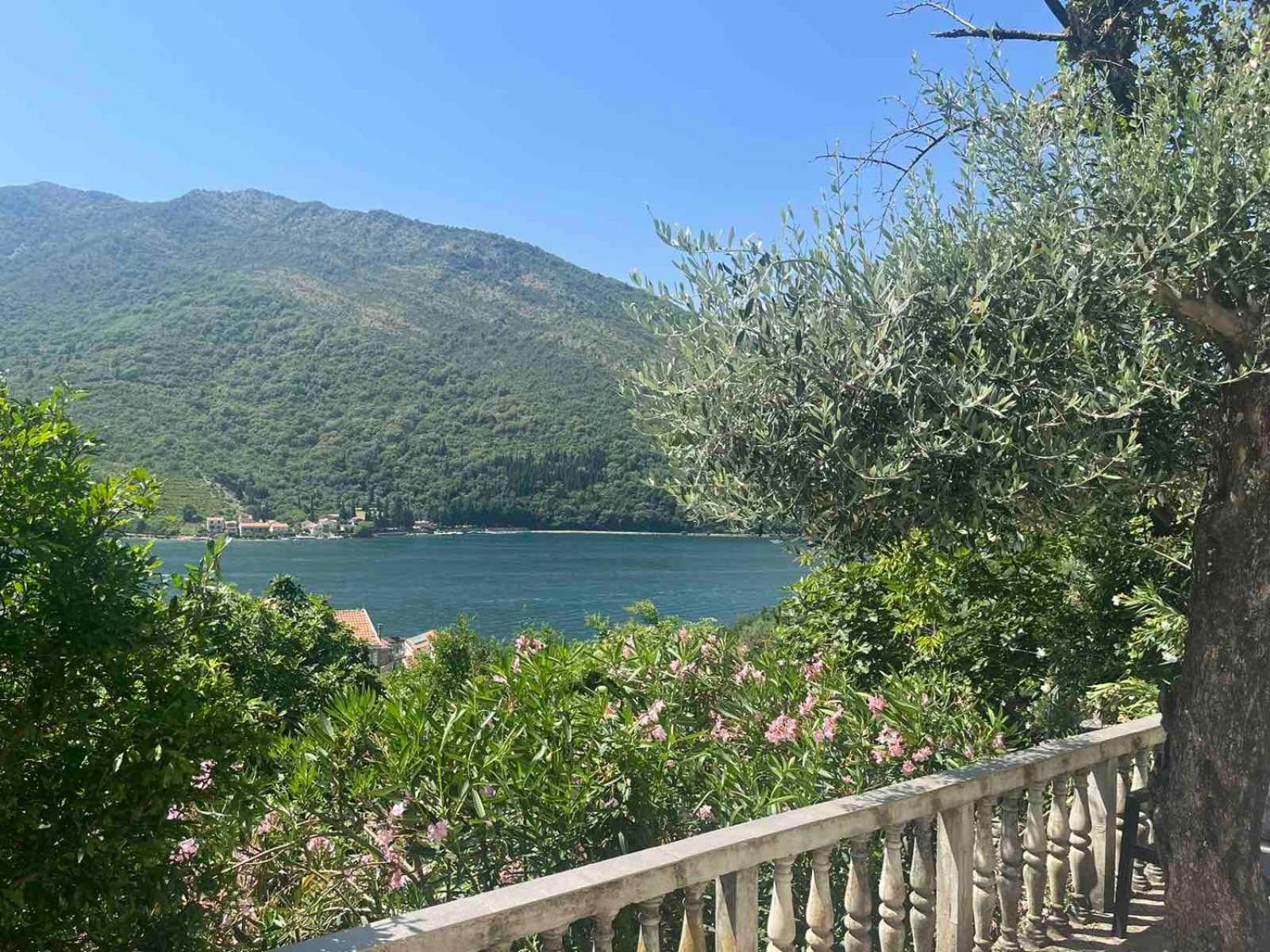 Apartman Irena Tivat Zewnętrze zdjęcie